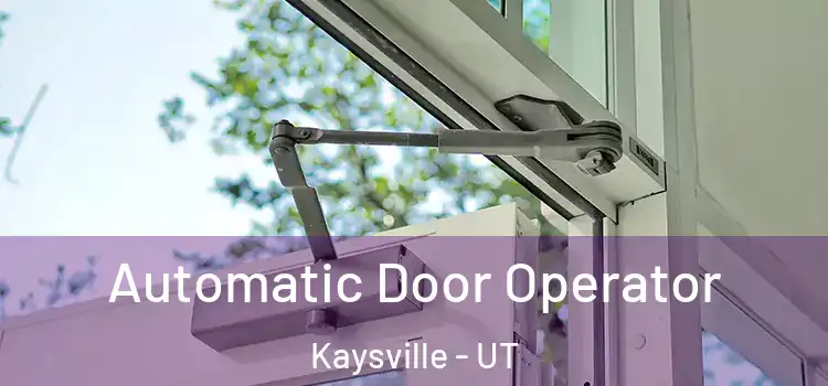 Automatic Door Operator Kaysville - UT