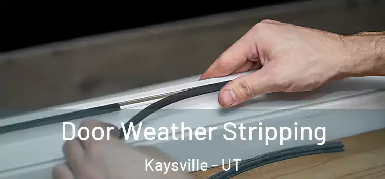 Door Weather Stripping Kaysville - UT