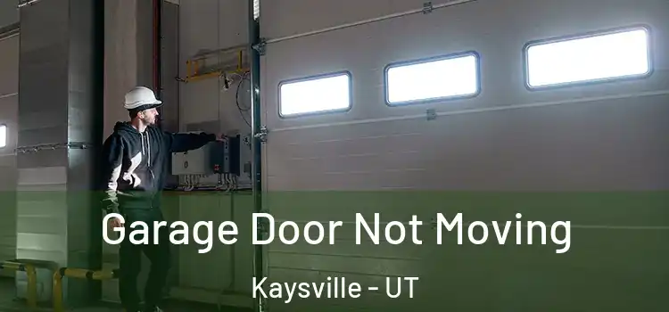  Garage Door Not Moving Kaysville - UT