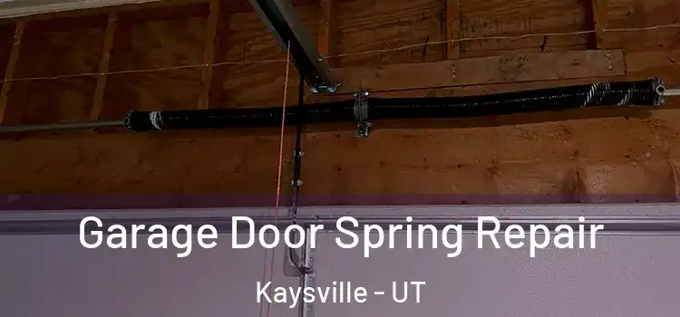  Garage Door Spring Repair Kaysville - UT