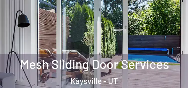  Mesh Sliding Door Services Kaysville - UT